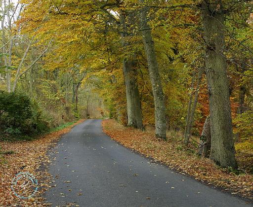 Scottish Borders 9P64D-113.JPG